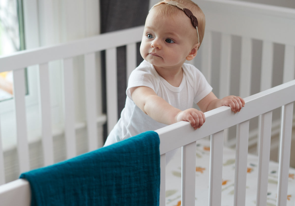 Forest friends collection – newcastle classics