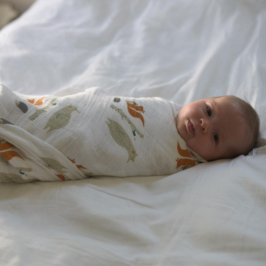 スワドル コットン NC-SC609 | Forest friends – newcastle classics